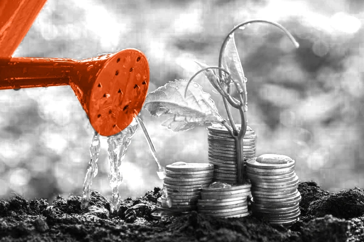 Sinayo Global is a dynamic financial institution with a diverse portfolio of operations and investments.